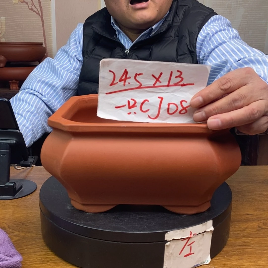 紫砂货号一只CJ08