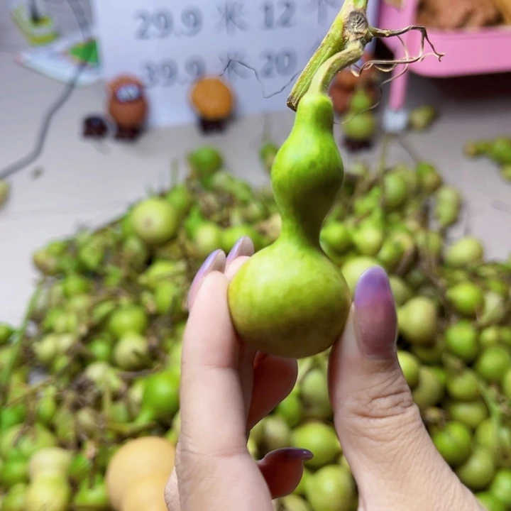 葫芦中国大陆源****ღ