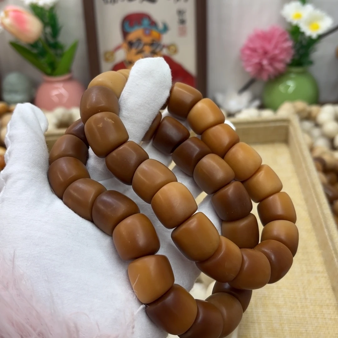 吊坠菩提根/象牙果18干磨瑕疵落地果肠一锅602