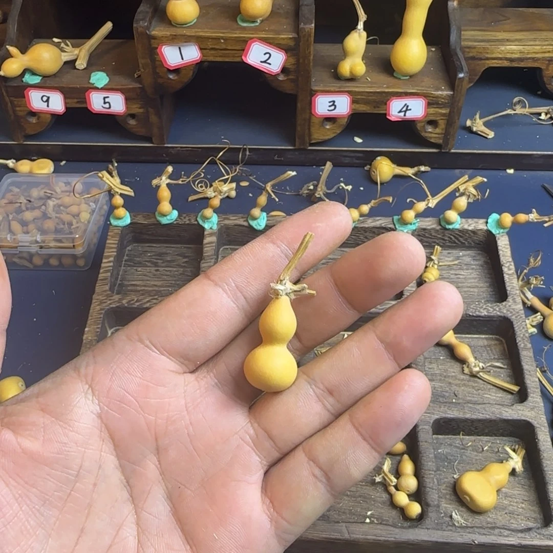 花****我也是很喜欢这个节目的呢