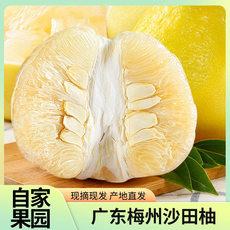 【纯甜梅州沙田柚】2粒礼盒装 客家特产冰糖贡柚，一口尽享甜蜜时光！