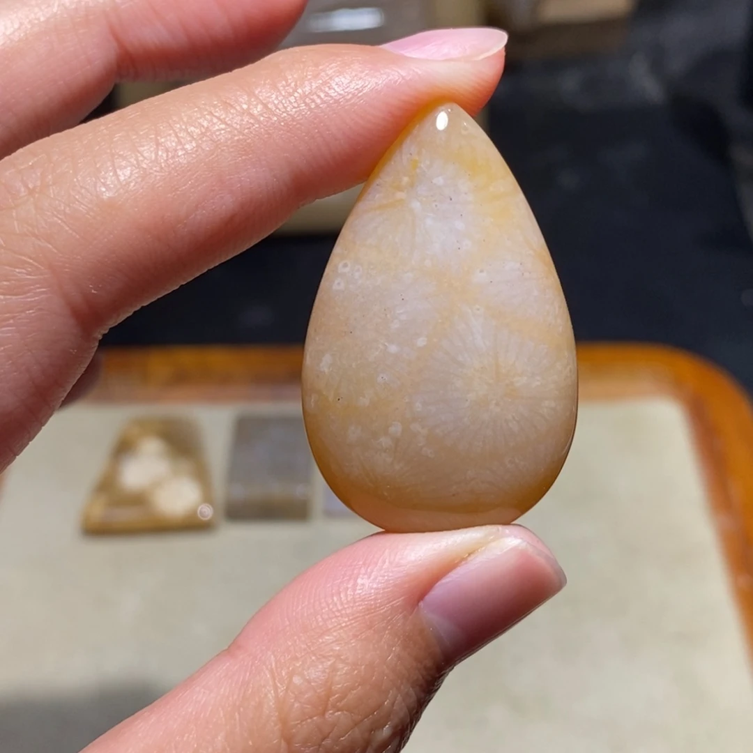 【闪购商品】硅化玉珊瑚玉未镶嵌