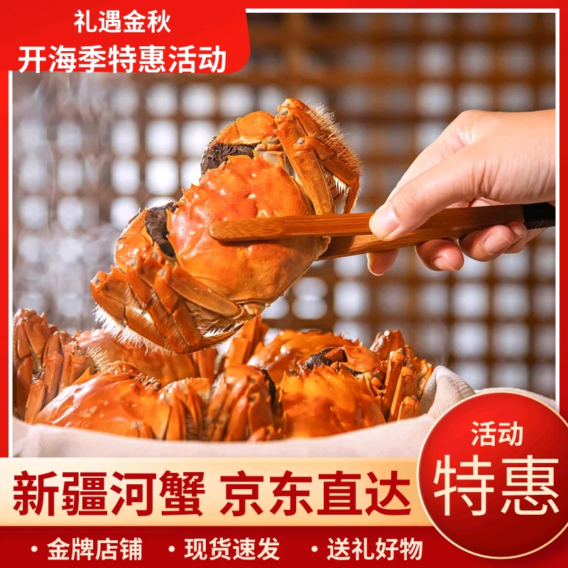 江苏大闸蟹【活蟹】全母蟹8只2.7-3两包邮送货到家