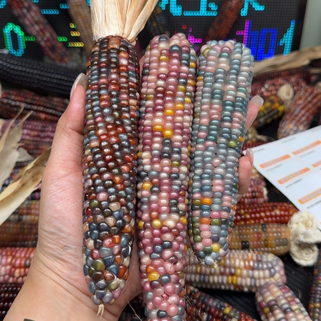 柏香籽/百香籽吊坠^*^