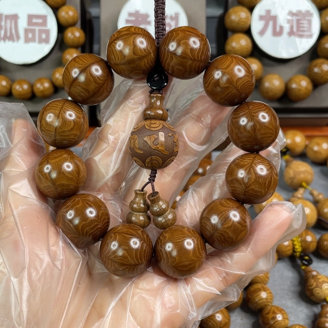 六道木枯树， 毕业2.0