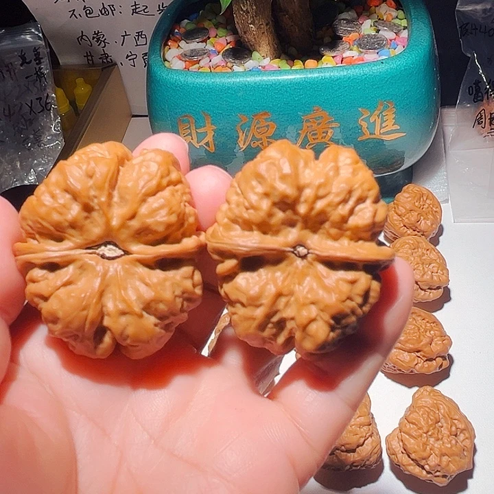心***虎龙脊菩提吊坠蛤蟆头