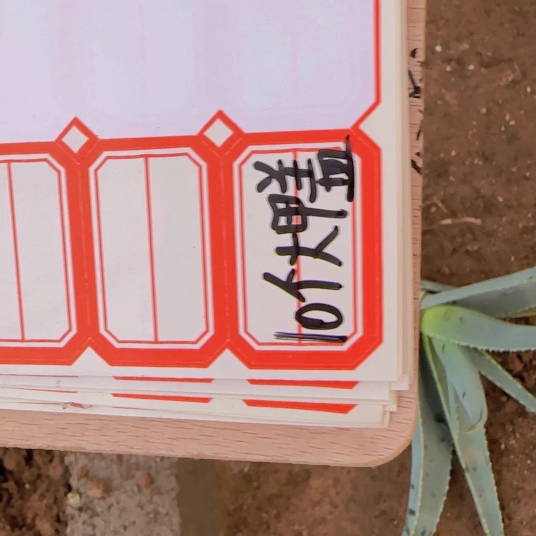 是****块根植物块根植物