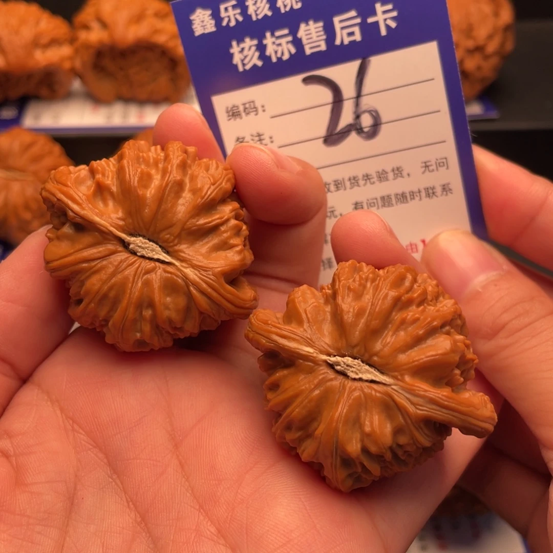 文玩核桃把件全品白狮子44尺