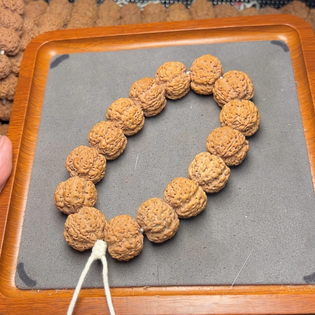 菩提6号尼泊尔大金刚22粗筋梅花五龙