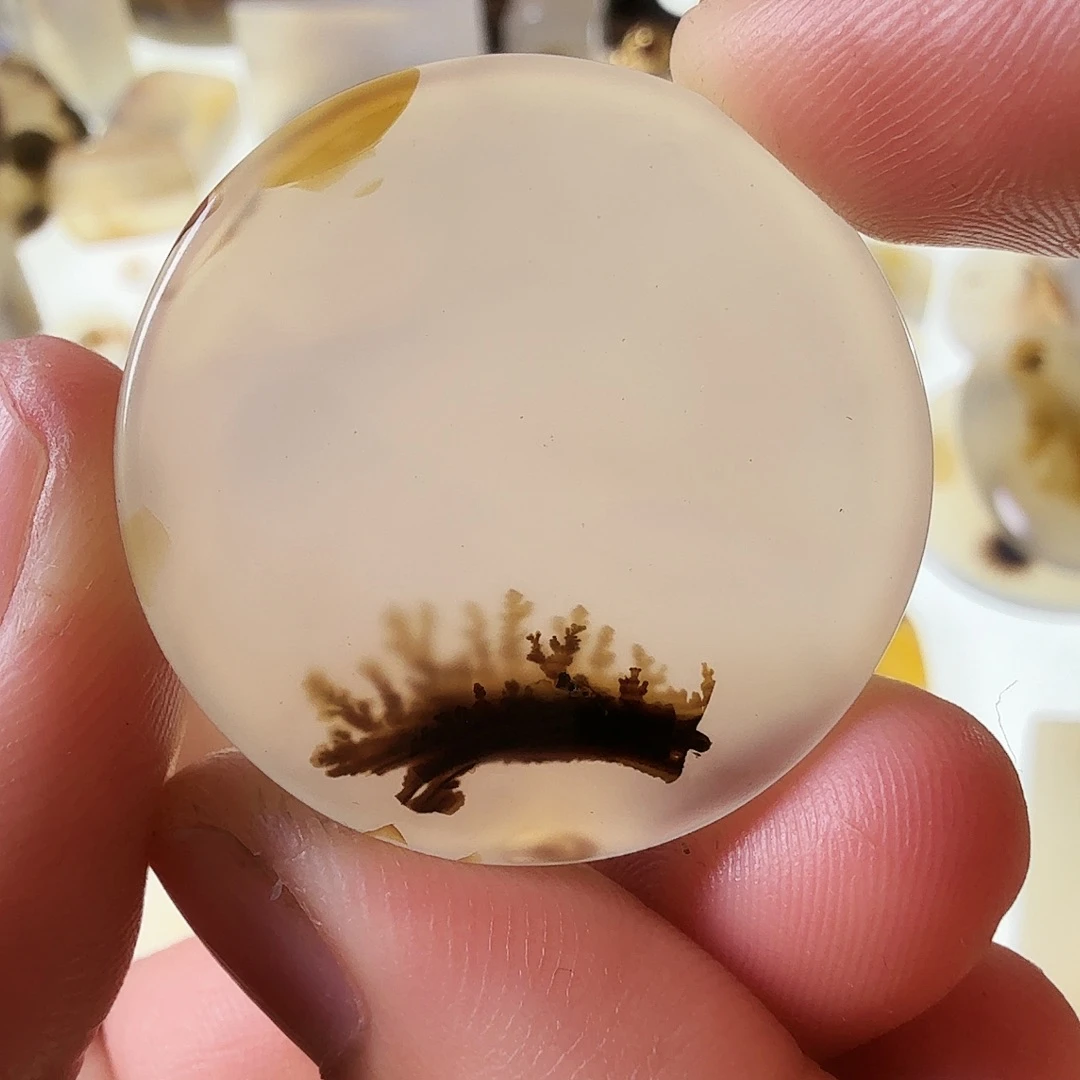 玛瑙/玉髓未镶嵌珠宝半成品