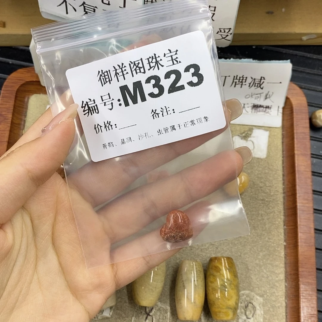 硅化珊瑚（珊瑚玉）未镶嵌颈饰青****?
