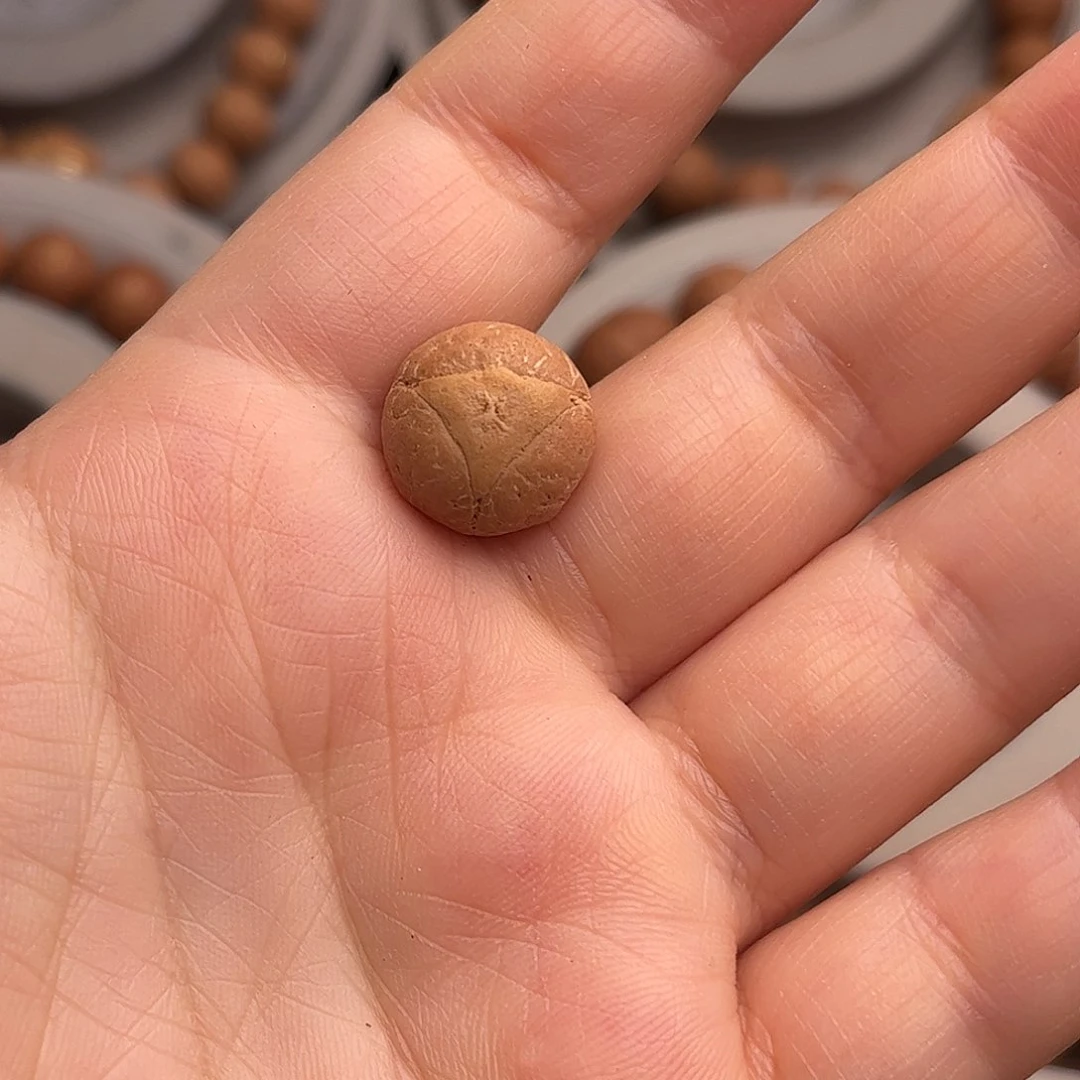 凤眼菩提手串用****9龙眼单颗