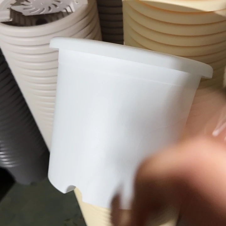 四季4号纯白无托10个特价微瑕