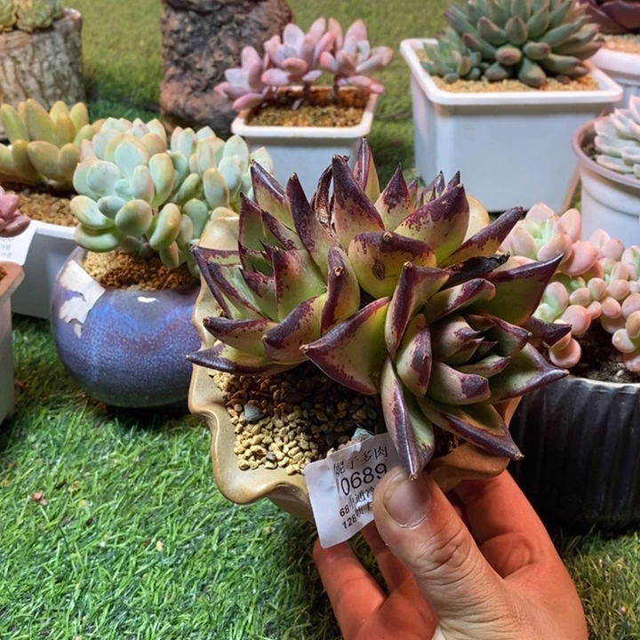 0689啊啊啊啊啊啊啊啊啊啊