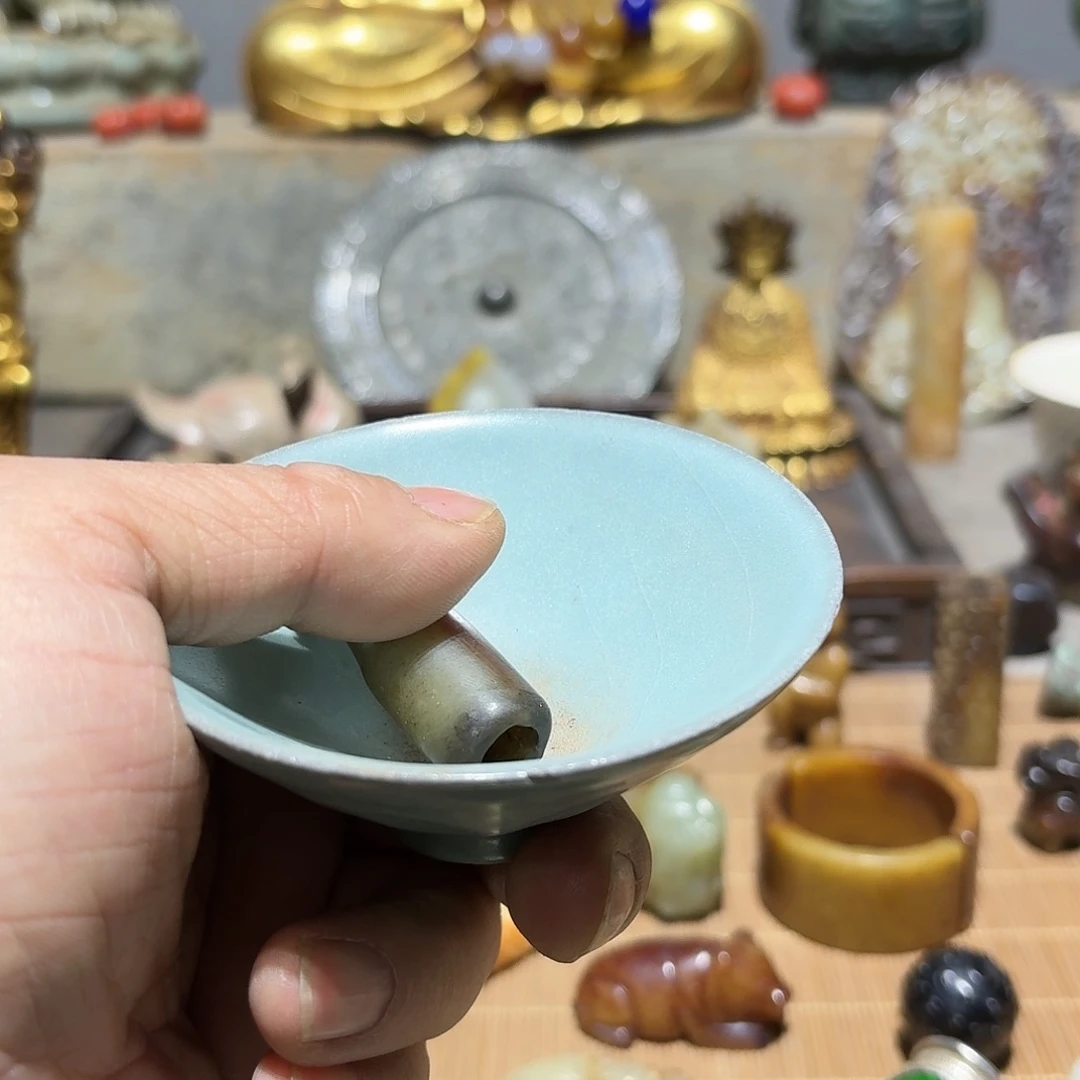 瓷片缘*芦咯额去植物园里KTV兔啦