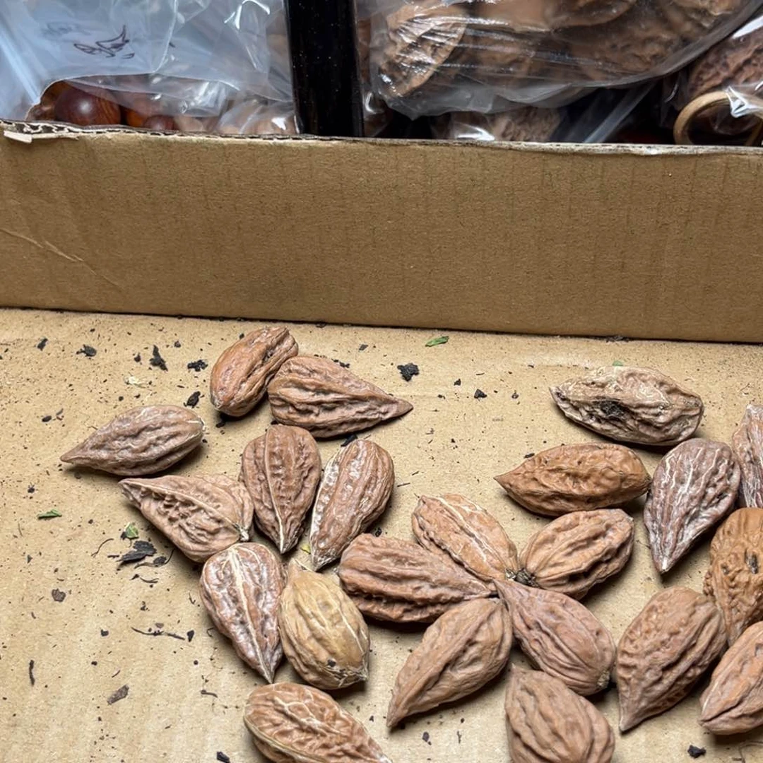 手串文玩核桃核桃81