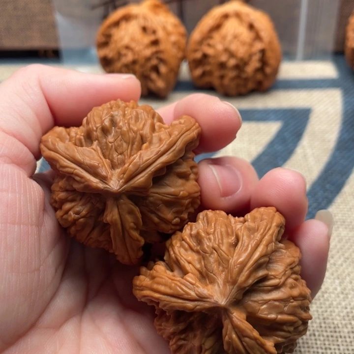 M***S核桃白狮子41核桃