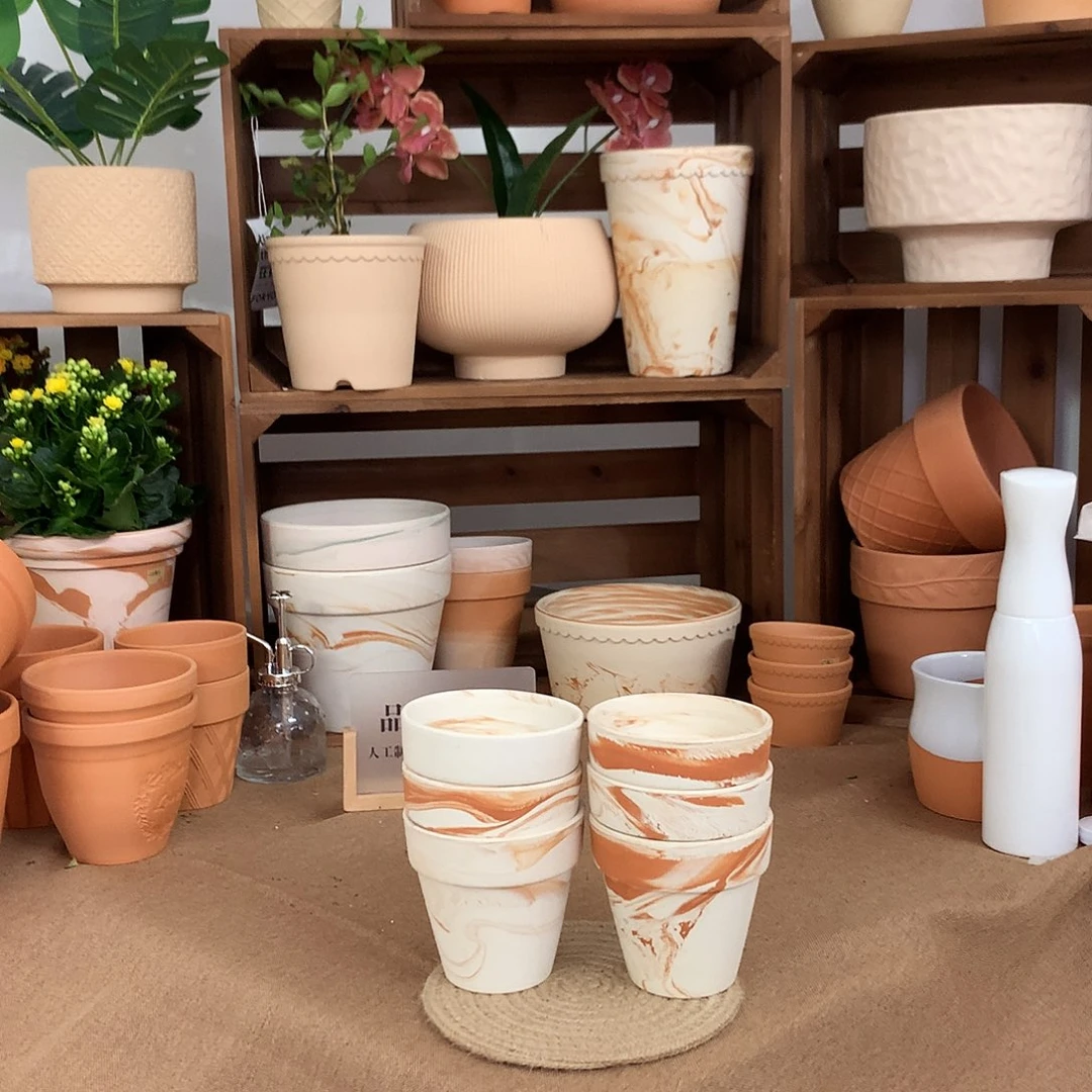 微瑕橘里橘气标准国际盆10口10高6个