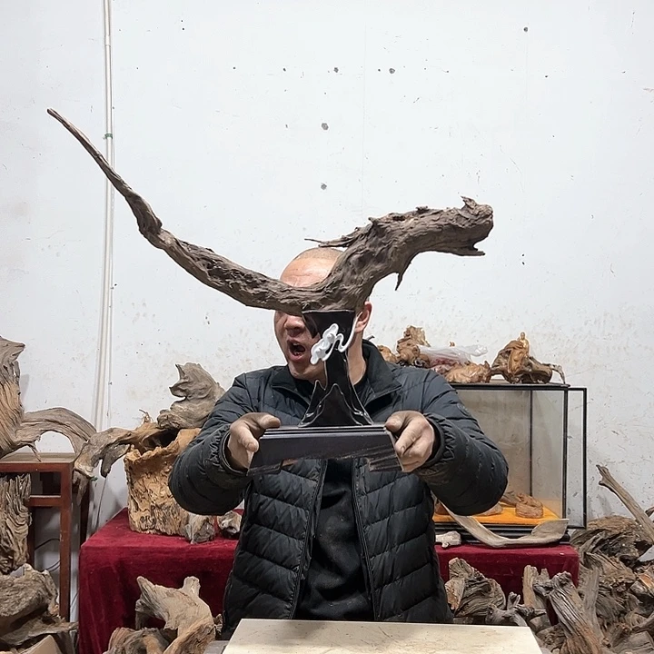 柏木@****鹏我们的生活也是