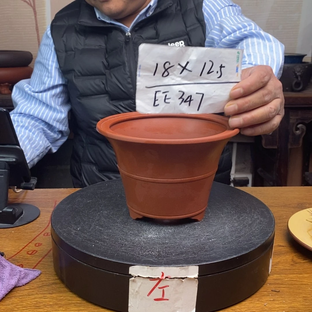 红陶货号一只EE347