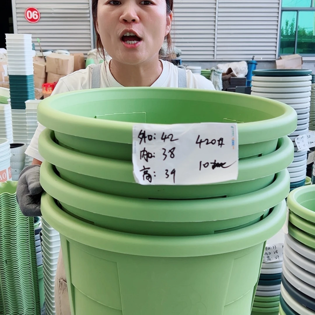 玫瑰420#果绿色4个无托