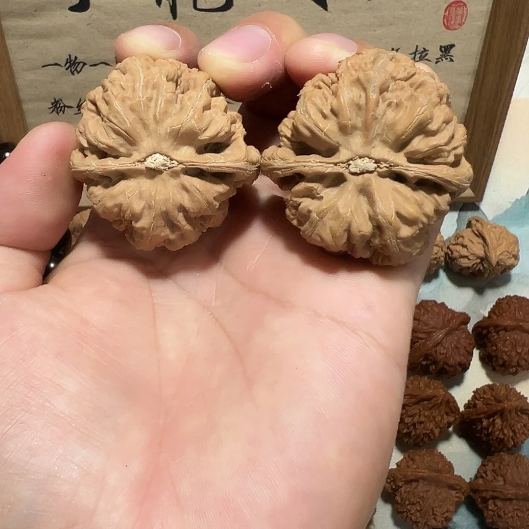 浅***僾文玩核桃文玩核桃42尺粗茎