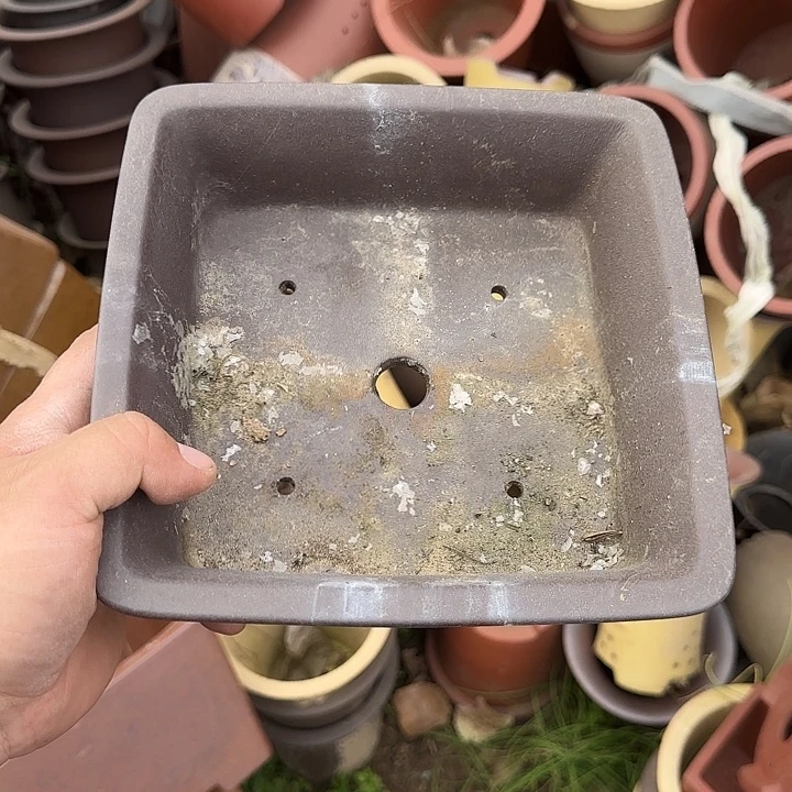 一哈来不急不快嘛亲爱你不要担心嘛