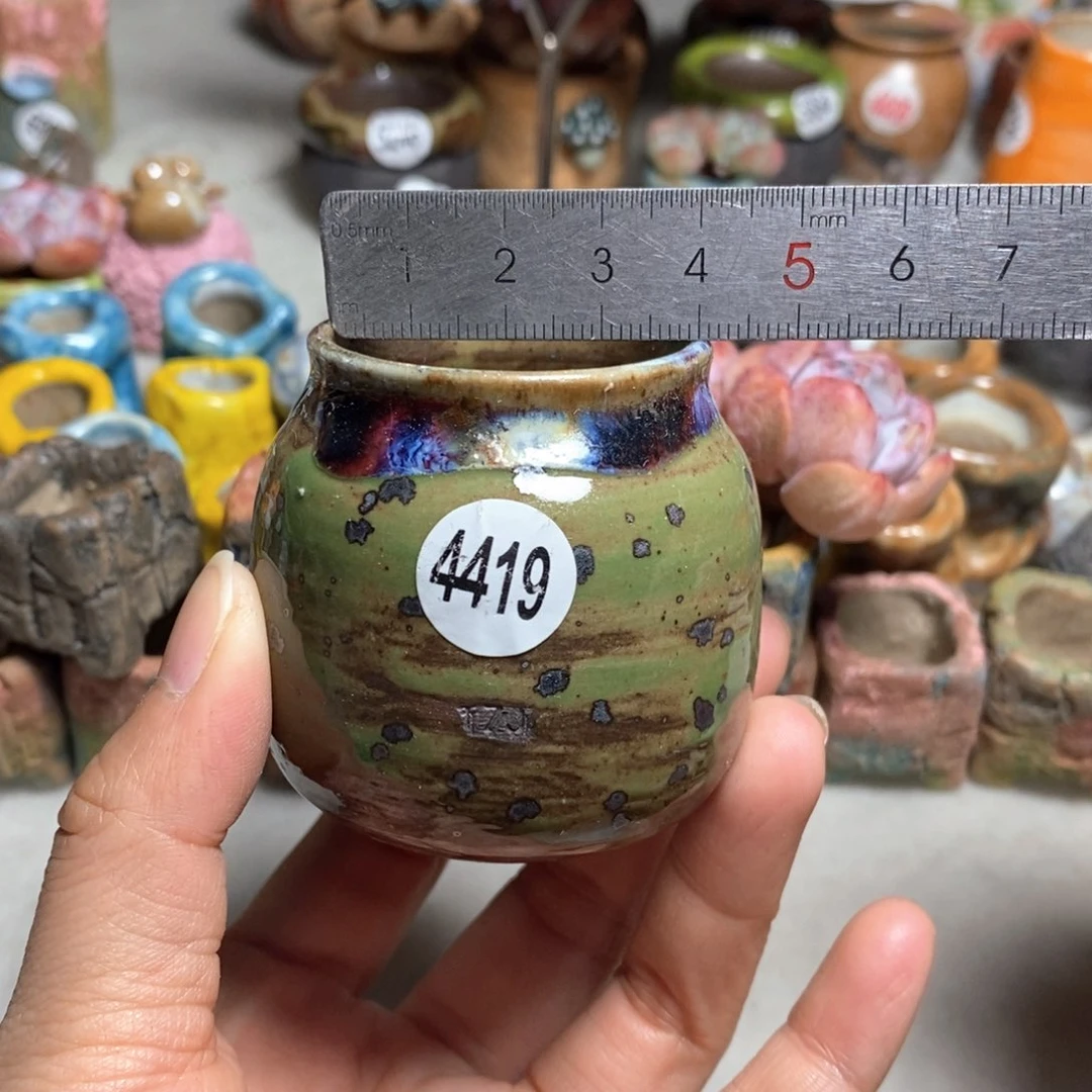 拍5送一个小礼物