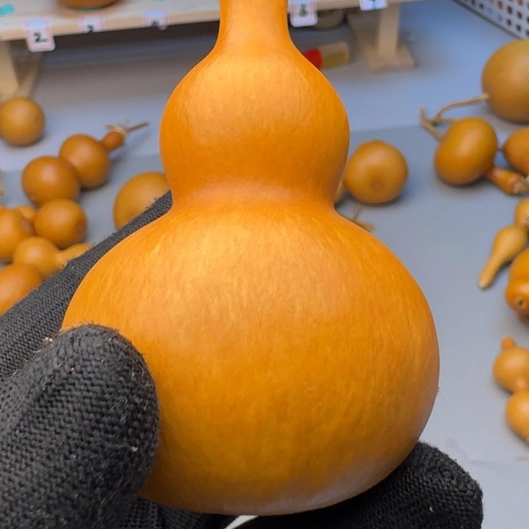 与***熊葫芦葫芦葫芦葫芦