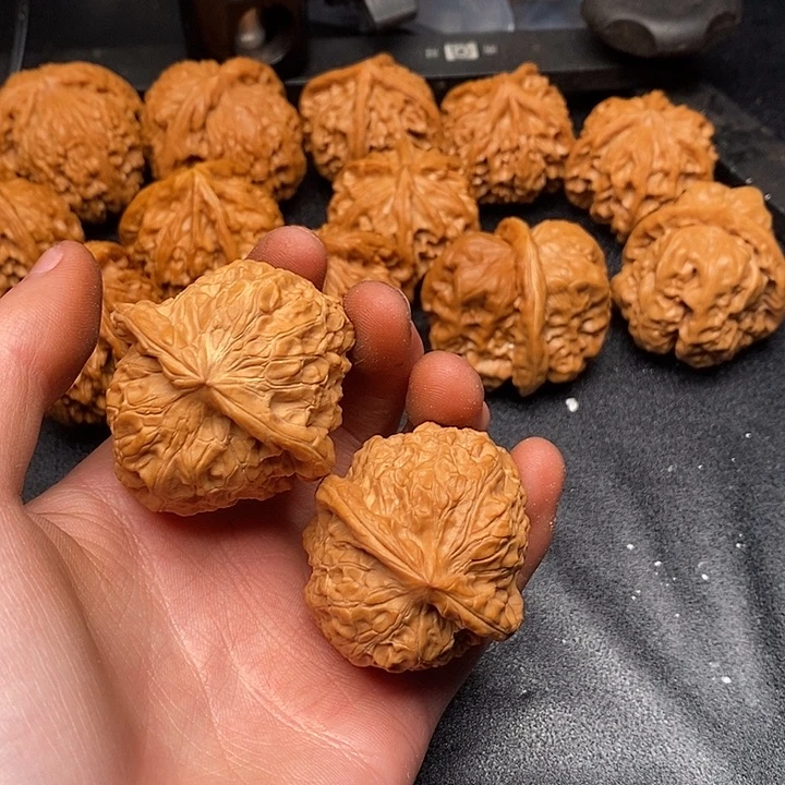 55555555555555555555555