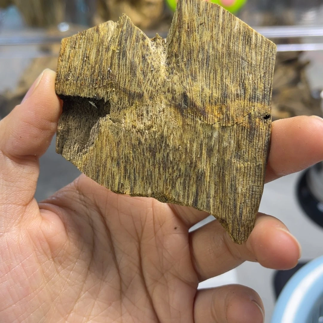 琼***㑗沉香碎屑沉香海南棋楠007