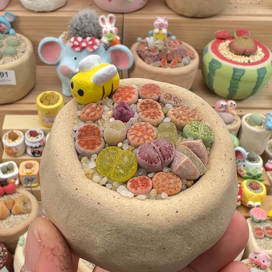 多肉植物13好彩拼带盆