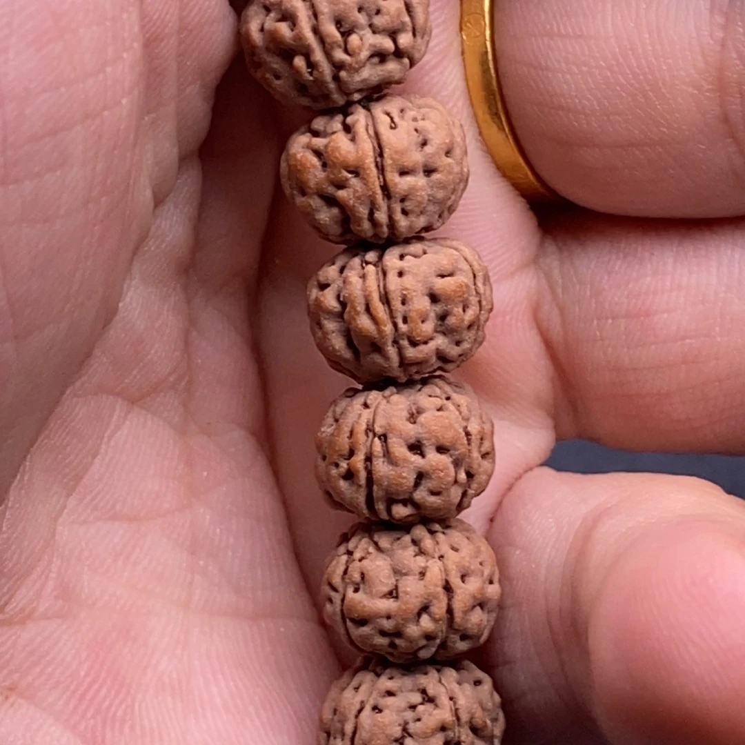 杰***龟吊坠金刚菩提老树王