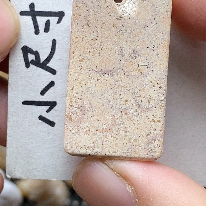颈饰未镶嵌硅化珊瑚（珊瑚玉）