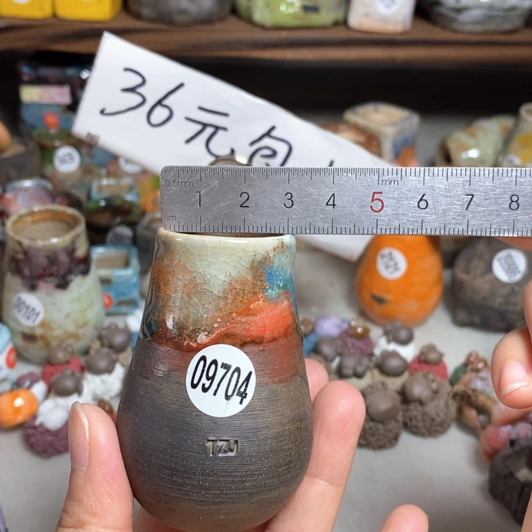 拍5送一个小礼物