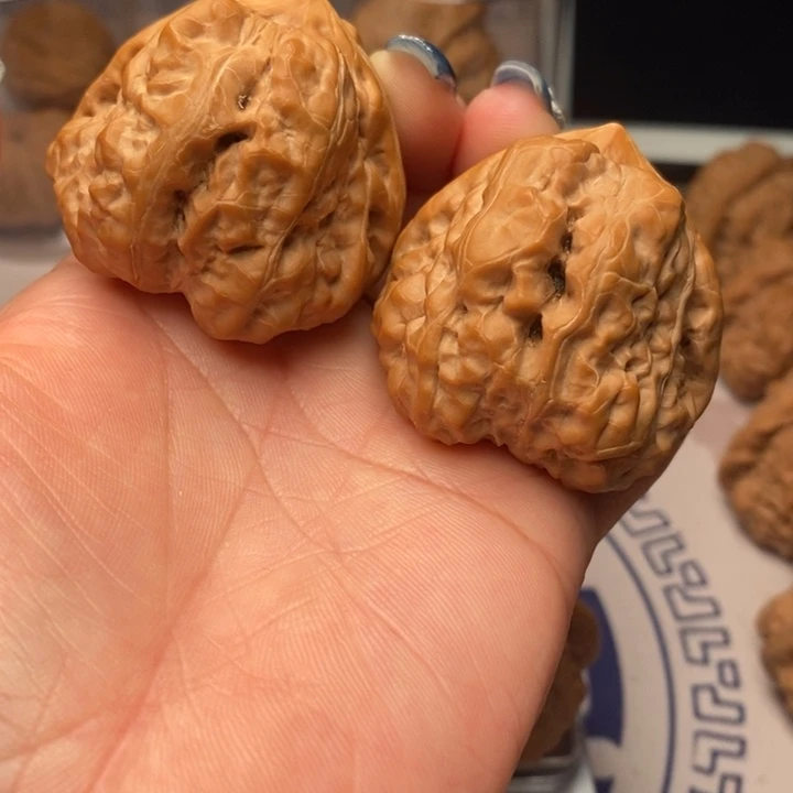 核桃11111111111111