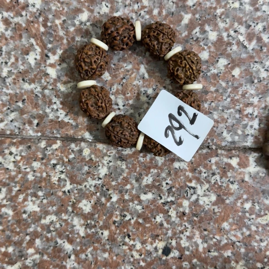 风***大杂色豆（科檀/科特迪瓦檀木）
