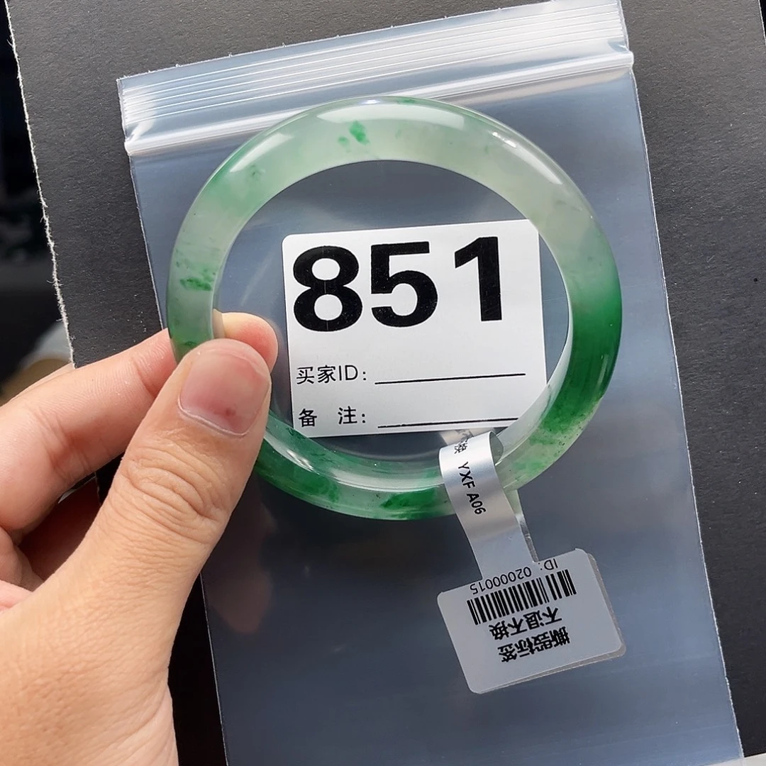 鱼***儿未镶嵌手镯石英质玉（非洲翠）63圈口851