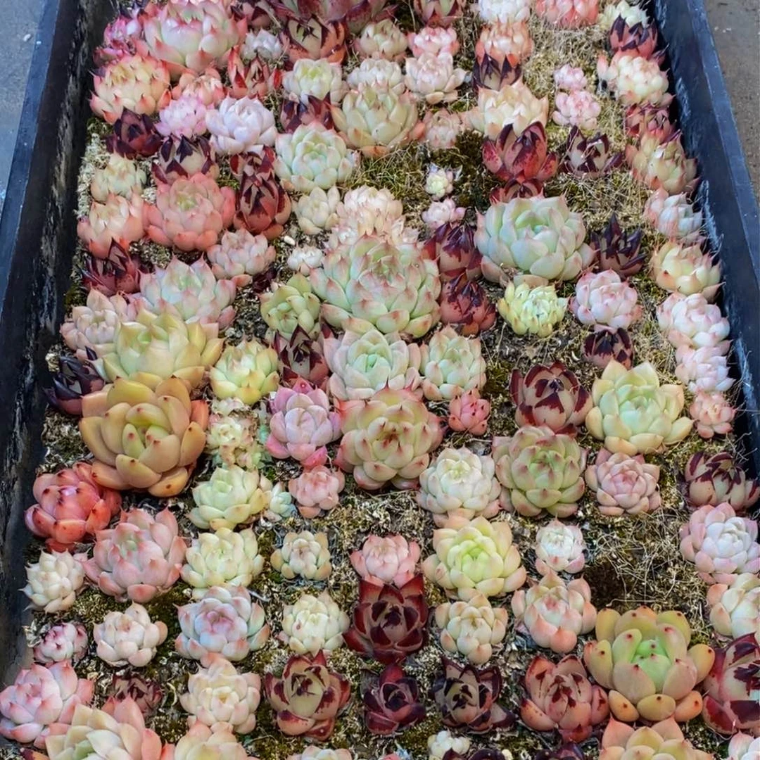 279的人在一起的时候就