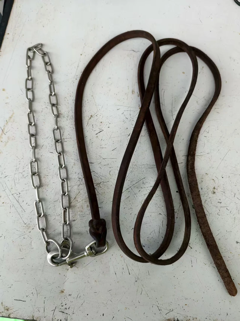 全犬种通用头层牛皮牵引绳小中大型犬日常遛狗训练用品