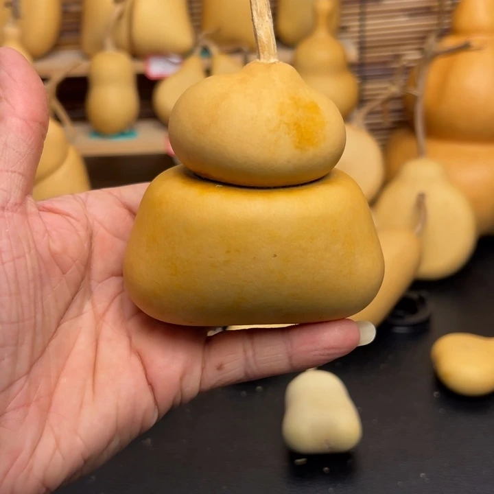 顺**?2556666666666699