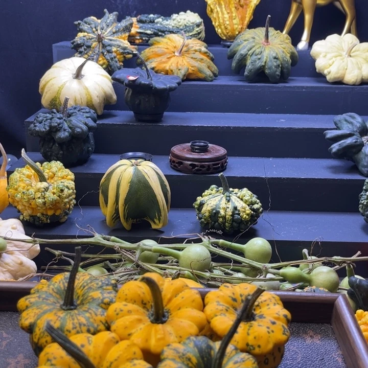 哈****子o o o o o o o o