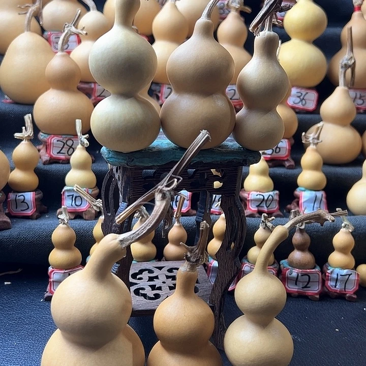 小***懶天然葫芦葫芦葫芦葫芦葫芦