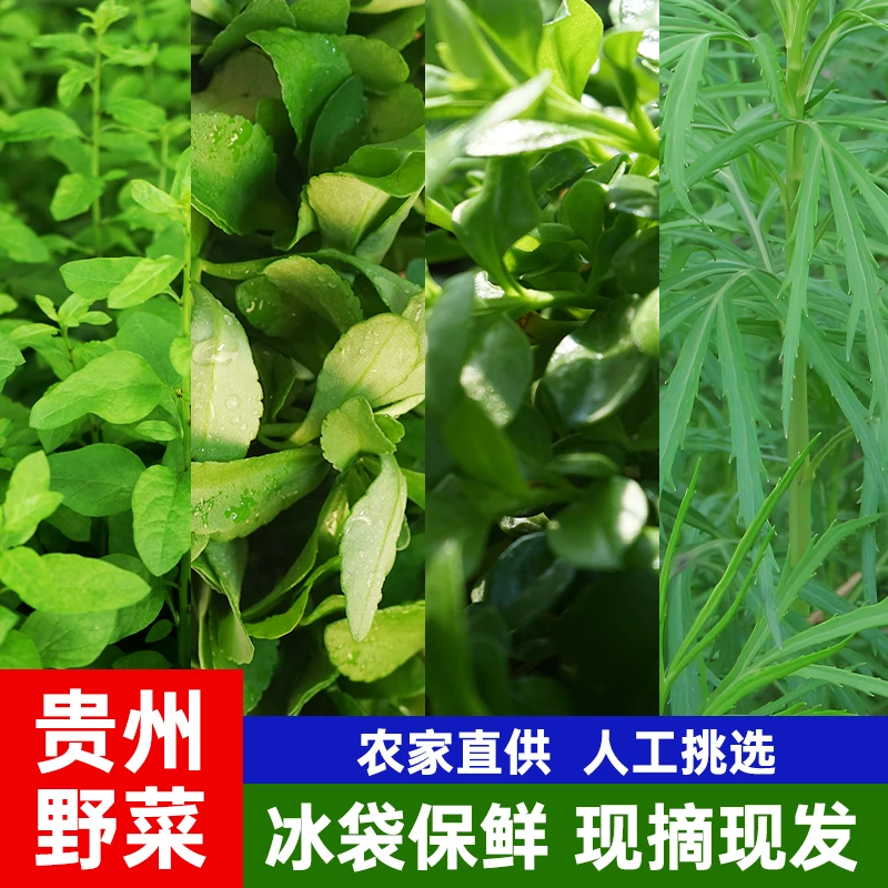 野菜四合一混合装贵州山坡坡驯化野菜