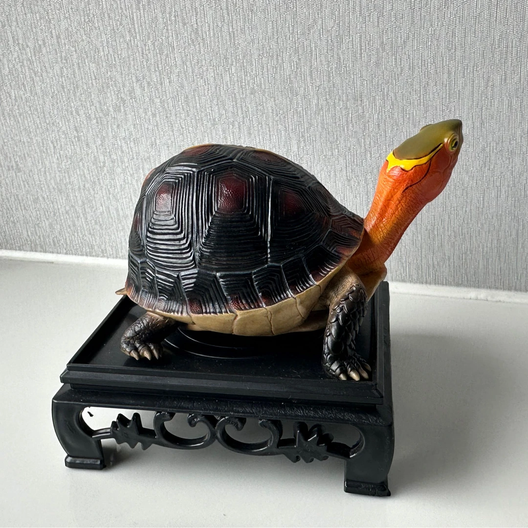 树脂乌龟模型，皖西安缘模型