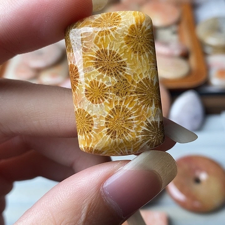 顺***水硅化玉未镶嵌颈饰