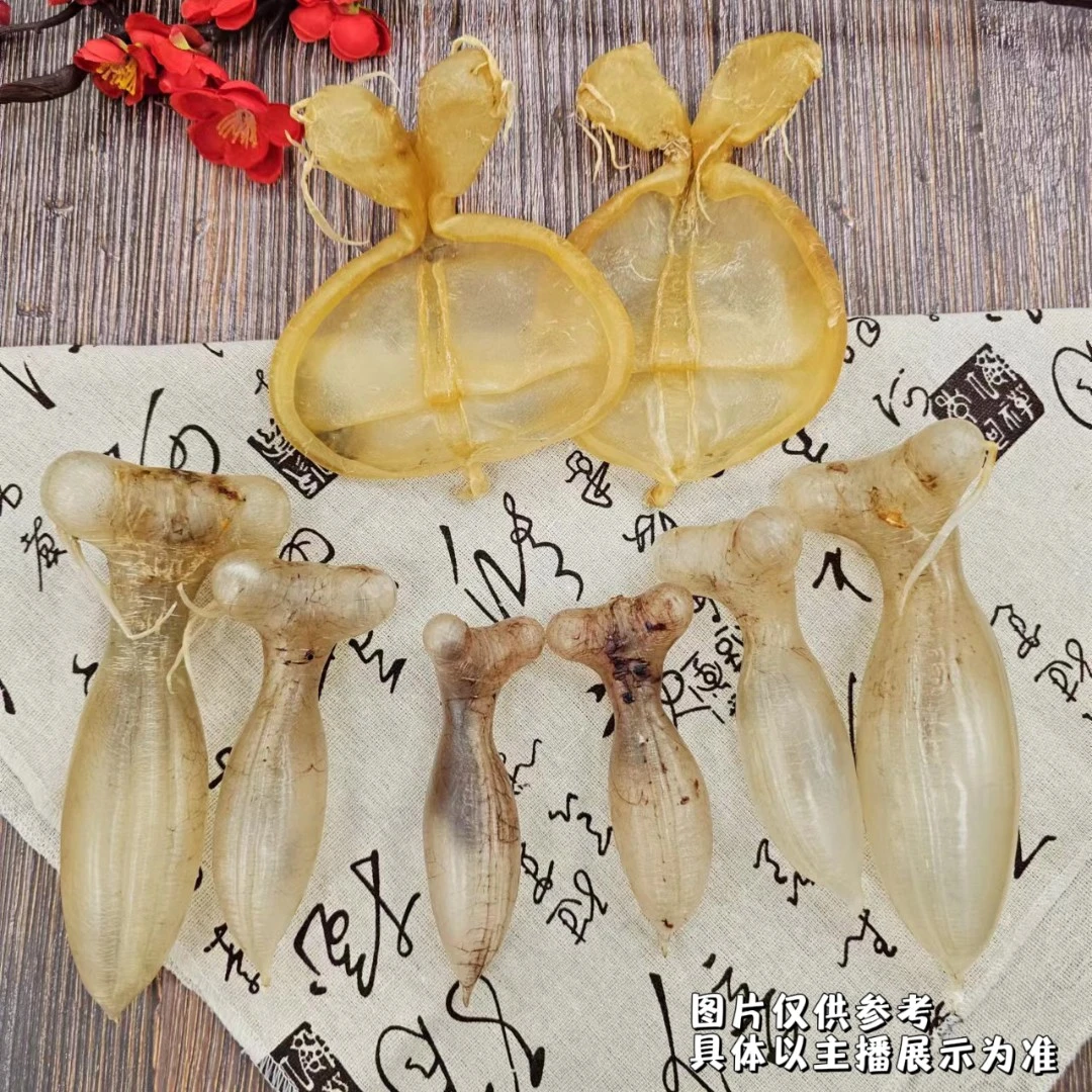 ZBH/珍宝汇精选花胶蜘蛛公/母鱼胶直播称重系列