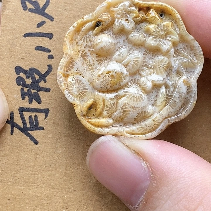 颈饰未镶嵌硅化珊瑚（珊瑚玉）