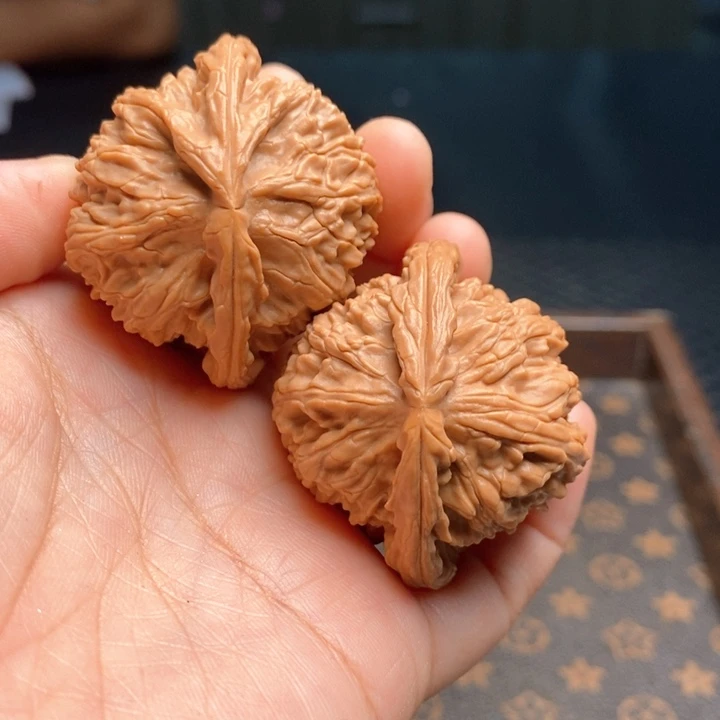 文玩核桃把件白狮子43尺