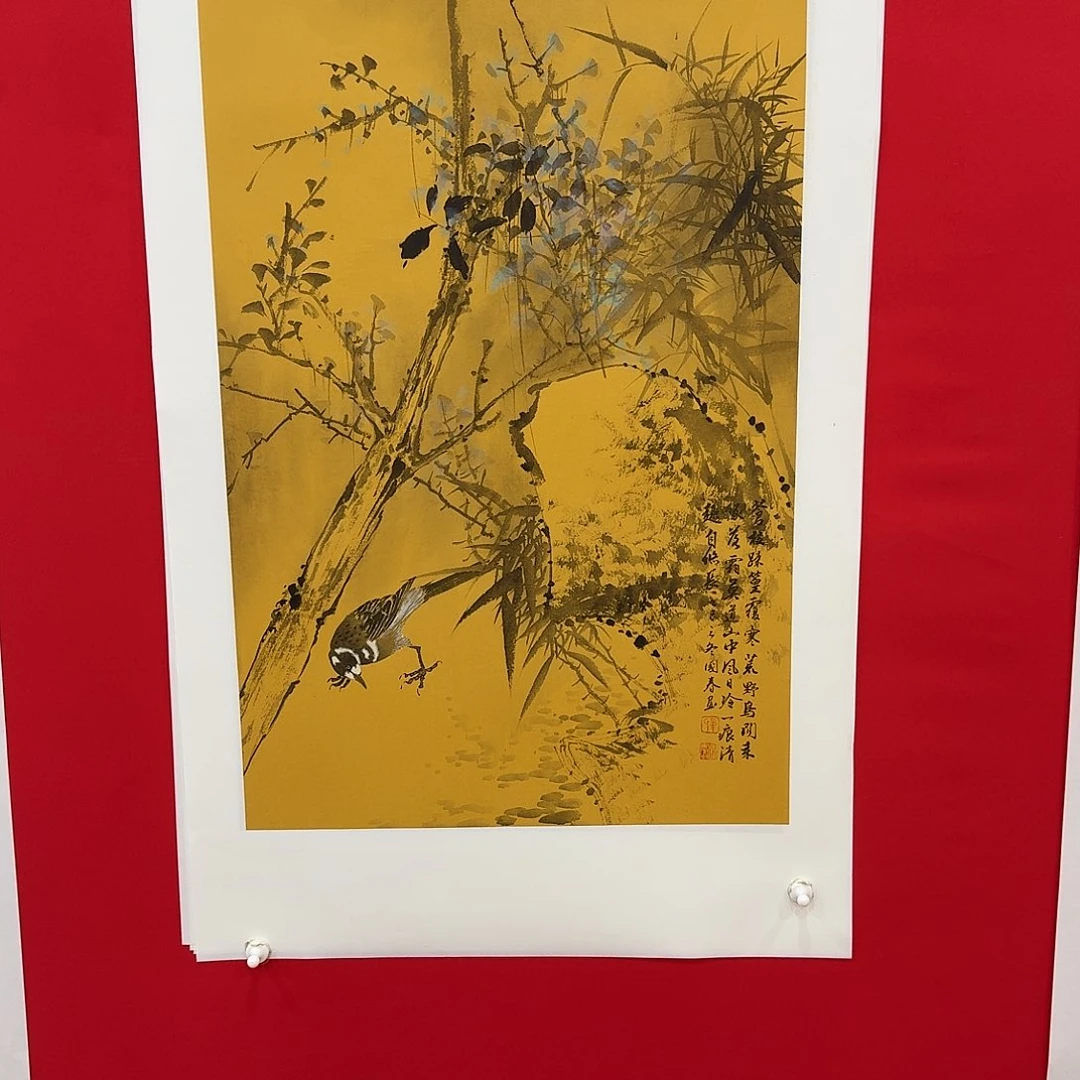 国画新号开播福利多多